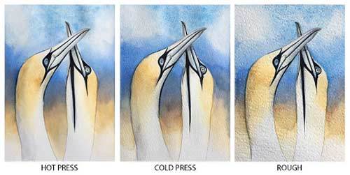 Hot vs. Cold vs. Rough Watercolor Papers